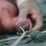 pexels-photo-28206179